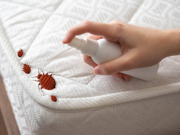 Professional Pest Control in Monahans, TX